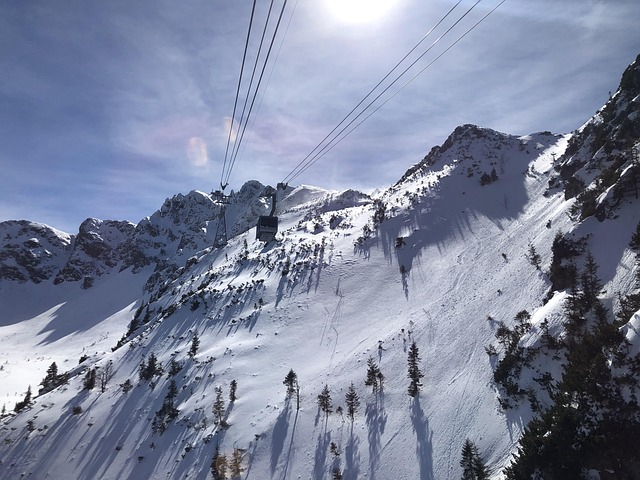 Cutaway view of two-chamber anaerobic septic tank with settling baffles buried in garden